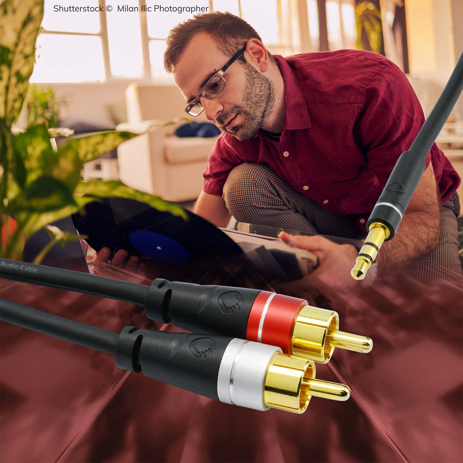 Audio Jack RCA Link Stereo-Audiokabel