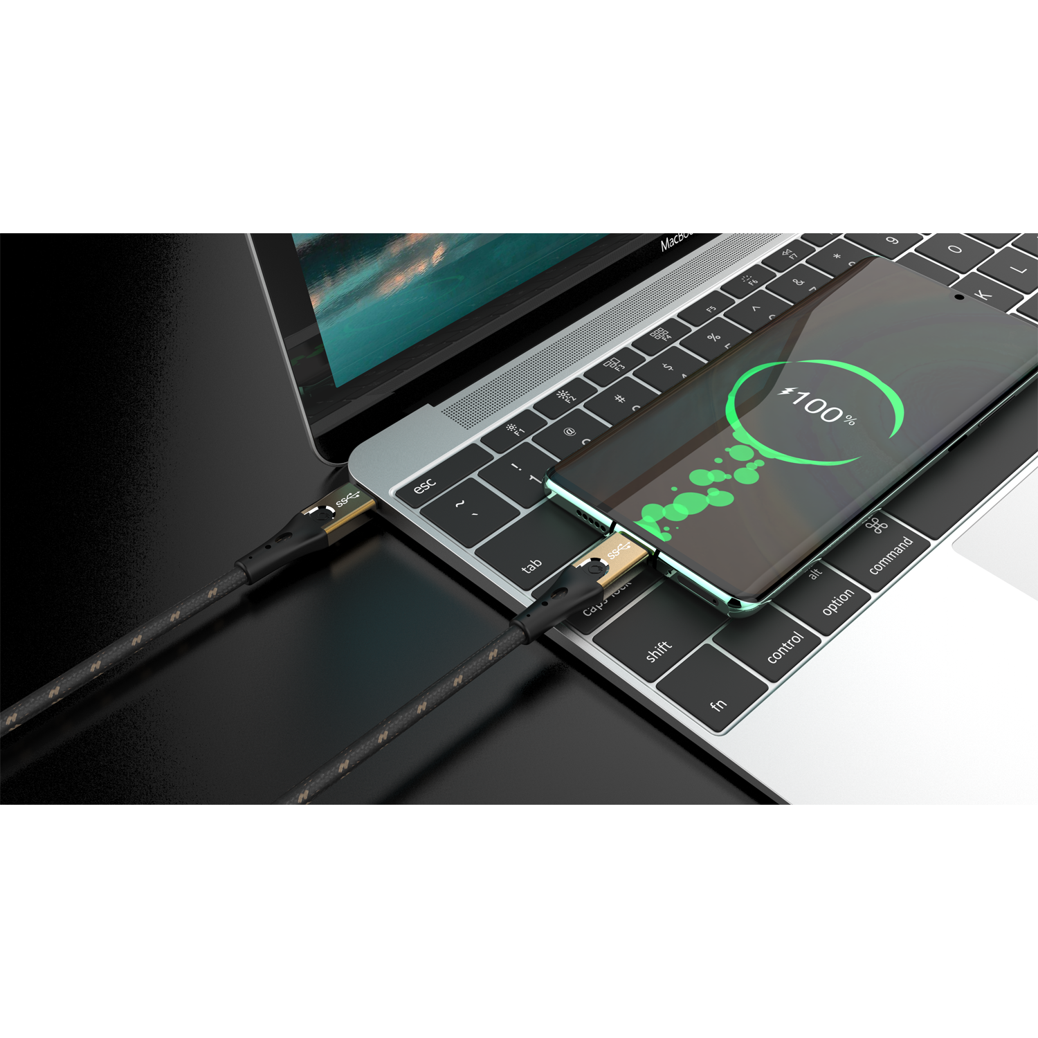 Primus CC USB TYPE-C Kabel