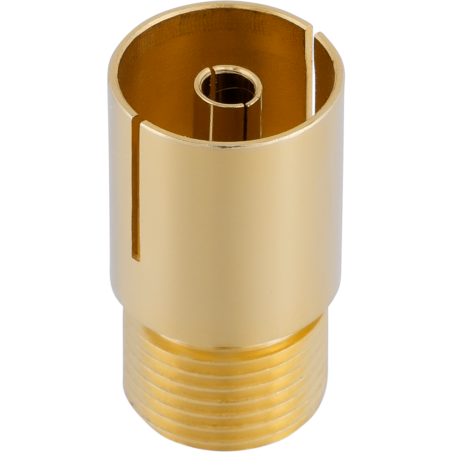 Zwei goldfarbene Antennenstecker nebeneinander vor weißem Hintergrund.
