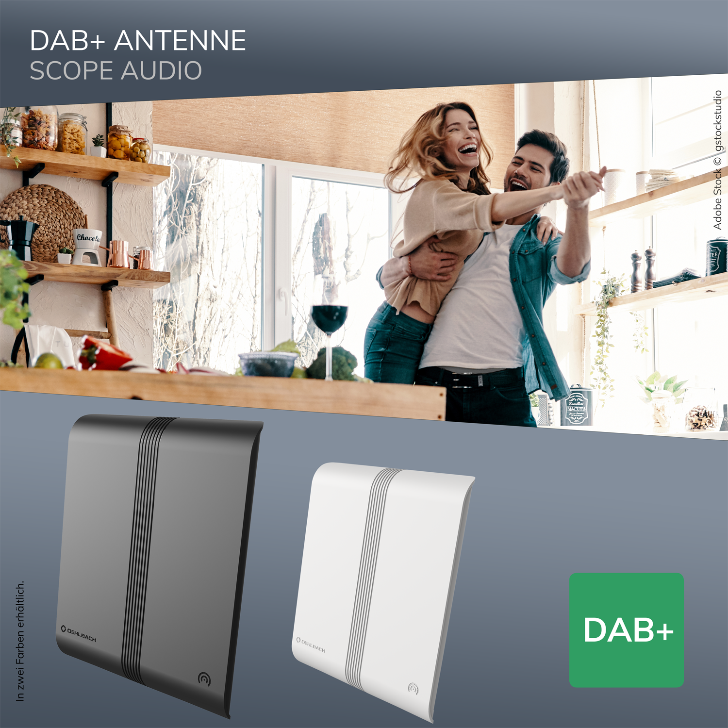 Scope Audio Zimmerantenne für DAB+